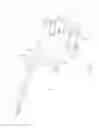 Fig. 02 - MEDICAL INSTRUMENT
