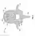 Fig. 04 - SYSTEMS FOR ACCESSING NERVES WITHIN BONE