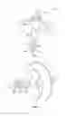 Fig. 02 - Device and method for artificial insemination