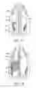 Fig. 09 - Methods and devices to treat nasal airways