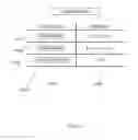 Fig. 19 - Intravascular energy delivery