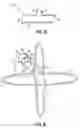 Fig. 04 - Apparatus for laser lithotripsy