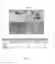Fig. 06 - PROJECTED FLAP DESIGN