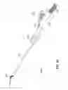 Fig. 30 - Surgical instrument