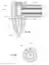 Fig. 15 - APPARATUS AND METHOD FOR ENDODONTIC TREATMENT