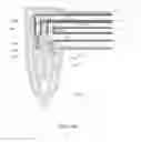 Fig. 18 - APPARATUS AND METHOD FOR ENDODONTIC TREATMENT