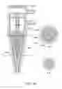 Fig. 46 - APPARATUS AND METHOD FOR ENDODONTIC TREATMENT