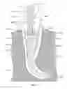 Fig. 53 - APPARATUS AND METHOD FOR ENDODONTIC TREATMENT