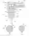 Fig. 57 - APPARATUS AND METHOD FOR ENDODONTIC TREATMENT