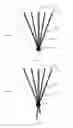 Fig. 02 - Reinforcing structure for coronal-radicular dental restoration, method for carrying out coronal-radicular dental restoration, and coronal-radicular restoration