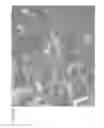 Fig. 12 - Apparatus and methods for treating root canals of teeth