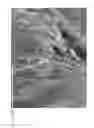 Fig. 13 - Apparatus and methods for treating root canals of teeth