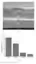 Fig. 06 - Device having a structured coating for the treatment of eardrum perforations