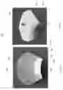 Fig. 66 - Device, system, and method for transcatheter treatment of valvular regurgitation