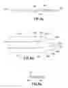 Fig. 10 - Method of expanding a space between opposing tissue surfaces