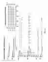 Fig. 81 - METHOD FOR CALCULATING DIAMETER OF STENT AFTER COMPRESSION, METHOD FOR MANUFACTURING WIRE-MESH STENT, AND METHOD FOR PATTERNING MULTI-ALTERABLE STRUCTURE THEREOF