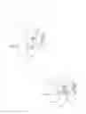 Fig. 06 - Magnetic Device For Stimulating the Vagus Nerve