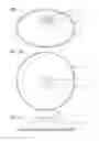 Fig. 16 - Magnetic Device For Stimulating the Vagus Nerve