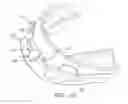 Fig. 08 - Oral appliance