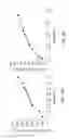 Fig. 06 - THERAPEUTICS DISPENSING DEVICE AND METHODS OF MAKING SAME