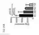 Fig. 33 - THERAPEUTICS DISPENSING DEVICE AND METHODS OF MAKING SAME