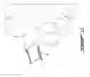 Fig. 06 - STRETCHABLE BANDAGE TAPE AND METHOD OF USE