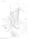 Fig. 04 - CONTROLLING POSITION OF WEARABLE ASSISTIVE DEVICE DEPENDING ON OPERATION MODE