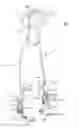 Fig. 01 - Ankle exoskeleton system and method for assisted mobility and rehabilitation