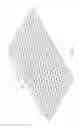 Fig. 02 - Massage Pad
