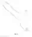 Fig. 04 - Contoured dildo and harness plate