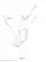 Fig. 06 - Contoured dildo and harness plate