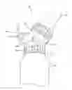 Fig. 01 - Apparatus, device, and method for infant gavage feeding