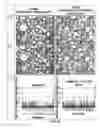 Fig. 08 - Whipped formulations