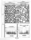 Fig. 12 - Whipped formulations