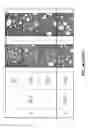 Fig. 62 - Whipped formulations