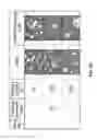 Fig. 63 - Whipped formulations