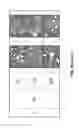 Fig. 64 - Whipped formulations