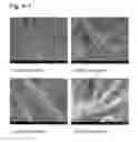 Fig. 04 - Complexes of hydrotalcites and fibers