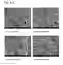 Fig. 05 - Complexes of hydrotalcites and fibers