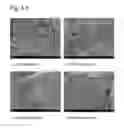 Fig. 08 - Complexes of hydrotalcites and fibers
