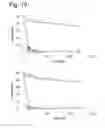 Fig. 14 - Complexes of hydrotalcites and fibers