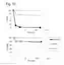Fig. 16 - Complexes of hydrotalcites and fibers