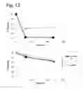 Fig. 17 - Complexes of hydrotalcites and fibers