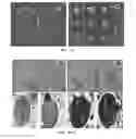 Fig. 03 - Skin probiotic