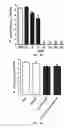 Fig. 07 - Skin probiotic