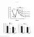 Fig. 02 - Isotopically modified components and therapeutic uses thereof