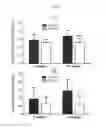 Fig. 03 - Isotopically modified components and therapeutic uses thereof