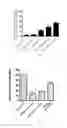 Fig. 04 - All-trans retinoic acid injectant and application
