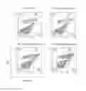 Fig. 06 - All-trans retinoic acid injectant and application