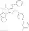 Fig. 23 - Treatment of synucleinopathies